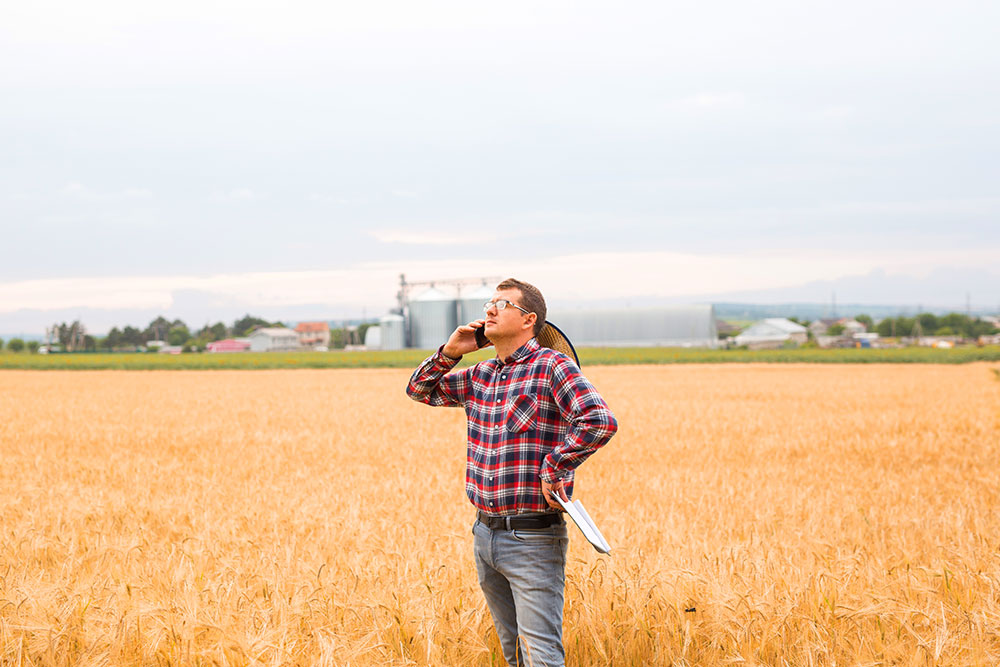 Man talking on a mobile phone in a wheat field