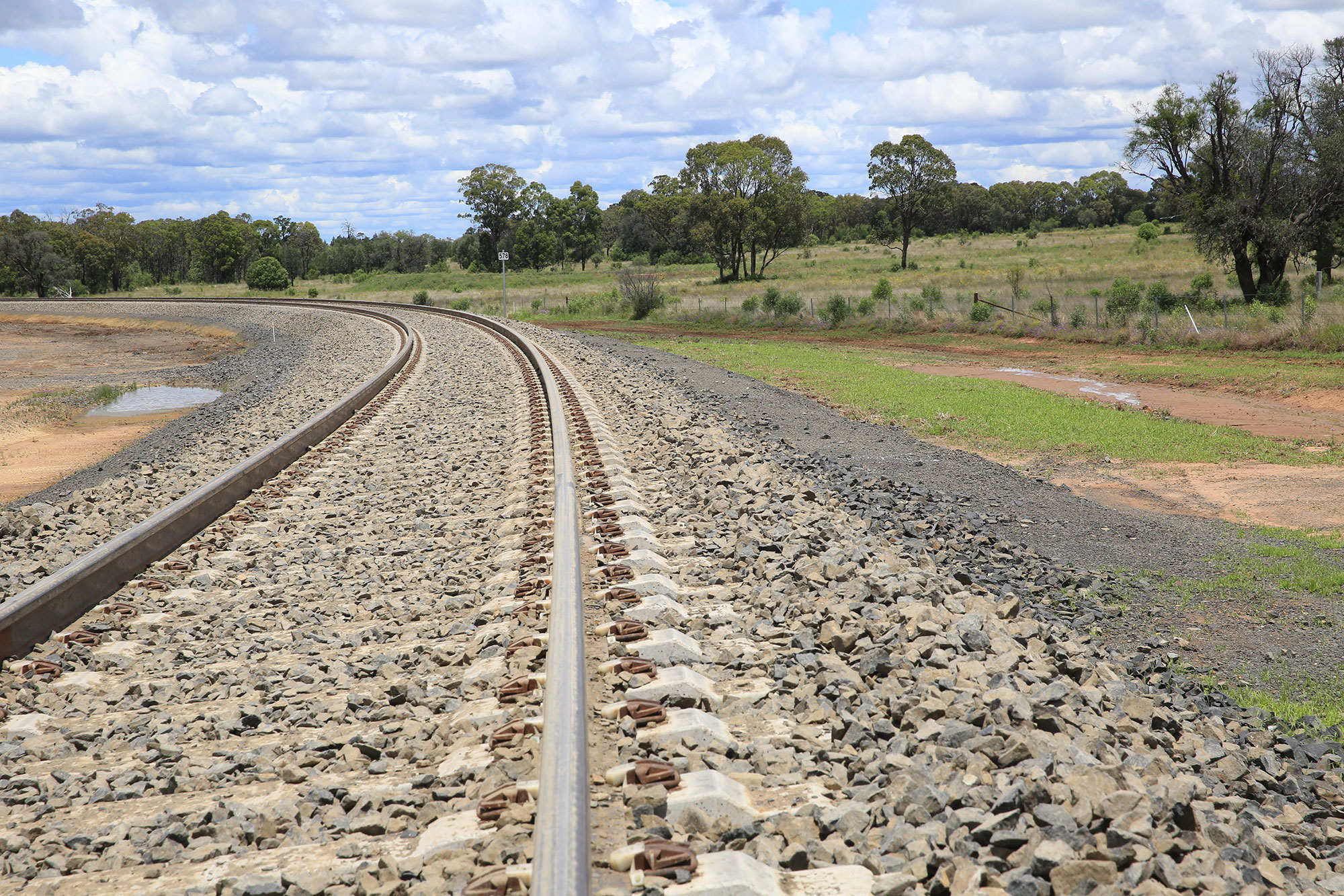 New track north of Narrabri, looking south