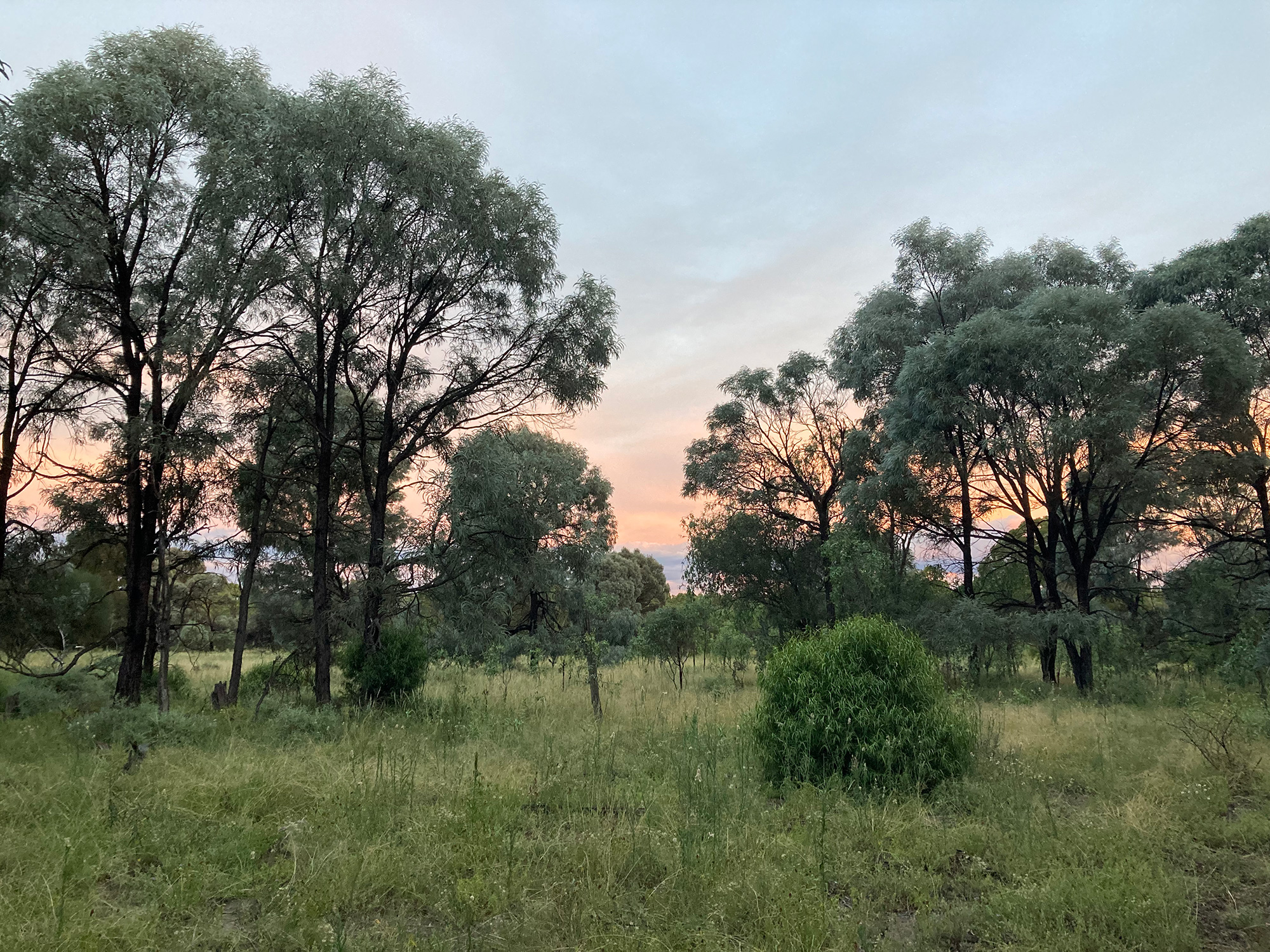 Image of sunset at Canning Creek property