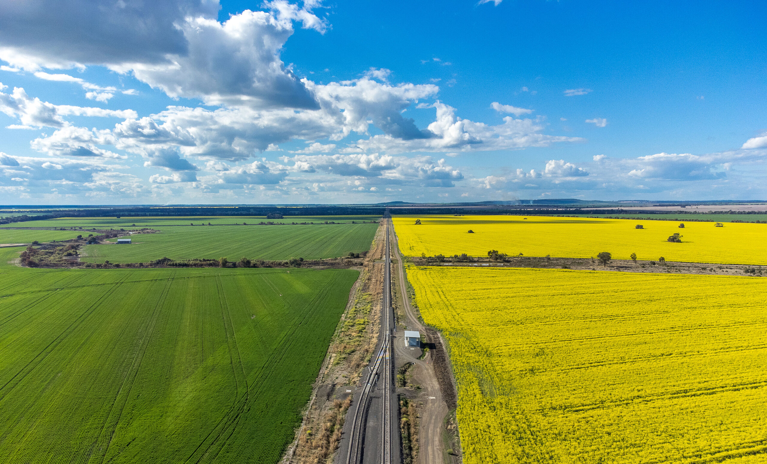 Aerial image showing canola fields north of Milguy, NSW