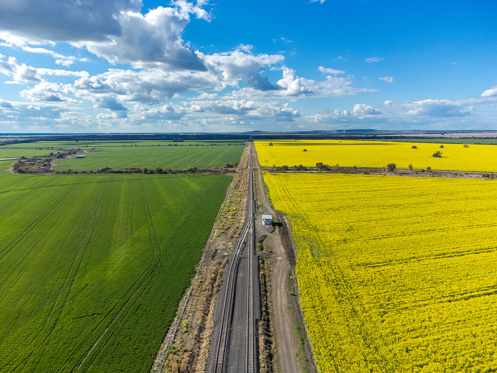 Aerial image showing canola fields north of Milguy, NSW